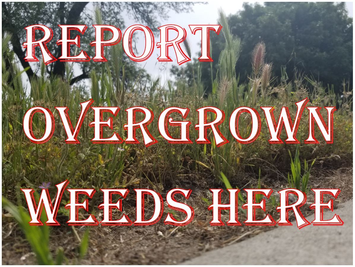 Report Weeds
