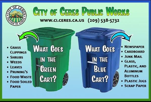 What goes where for web