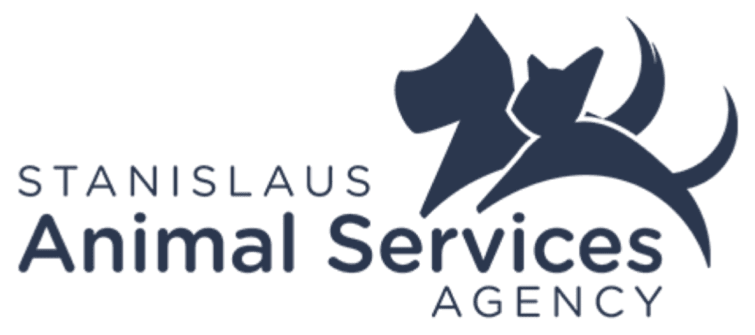Animal Services